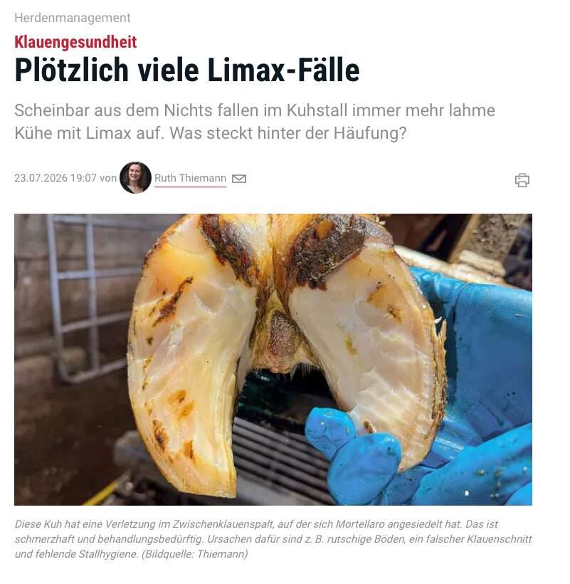Offener Brieef, Stellungsnahme Beitrag Elite